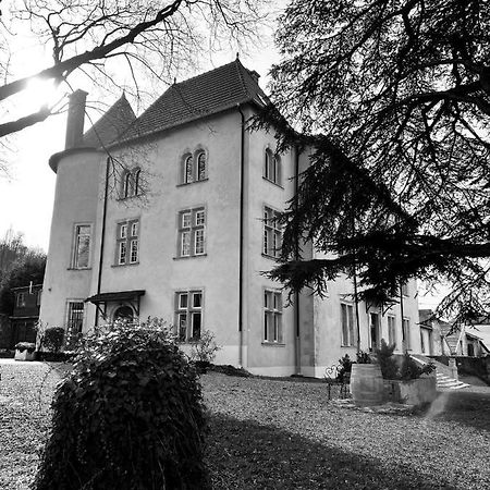 Bed And Breakfast Le Chateau De Morey Belleau Zewnętrze zdjęcie