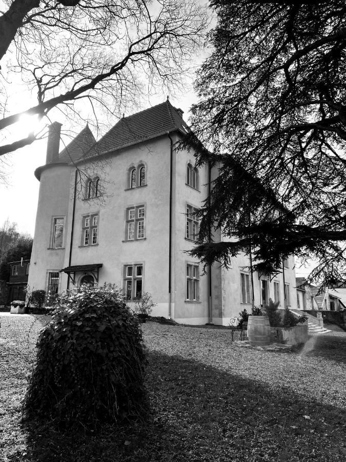 Bed And Breakfast Le Chateau De Morey Belleau Zewnętrze zdjęcie