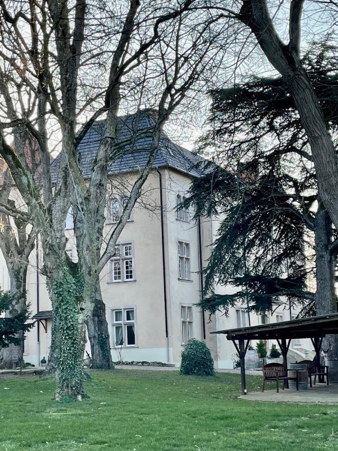 Bed And Breakfast Le Chateau De Morey Belleau Zewnętrze zdjęcie