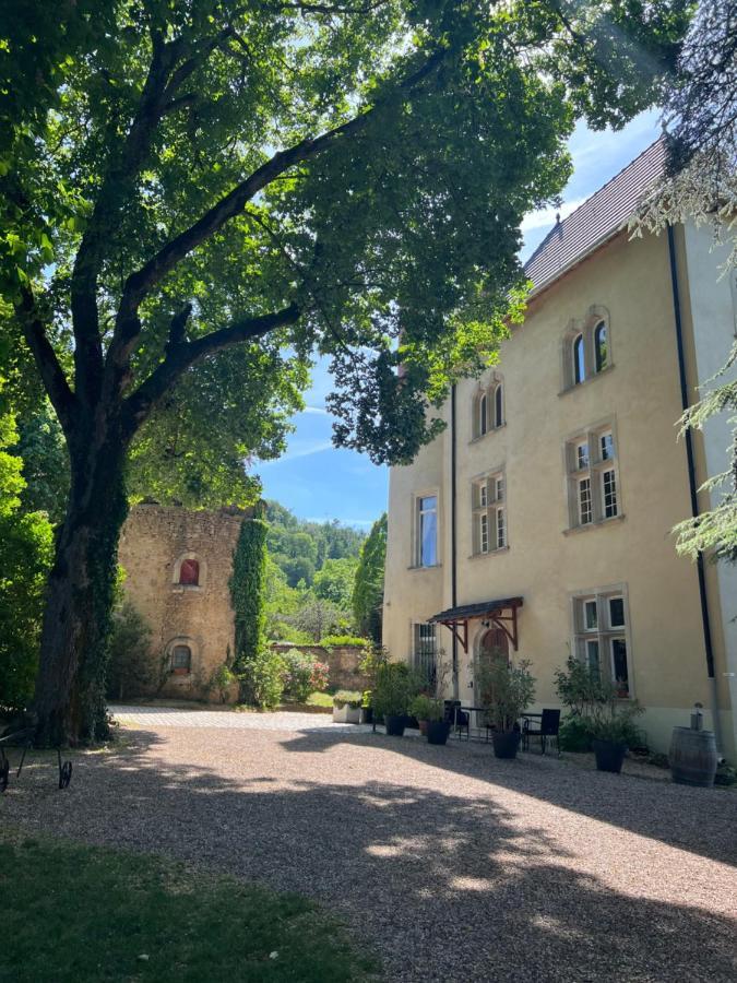 Bed And Breakfast Le Chateau De Morey Belleau Zewnętrze zdjęcie